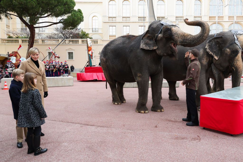 Princess Charlene Makes Her First Appearance Of 2024 See Photos   Princess Charlene Of Monaco Prince Jacques Of Monaco And News Photo 1705422696 