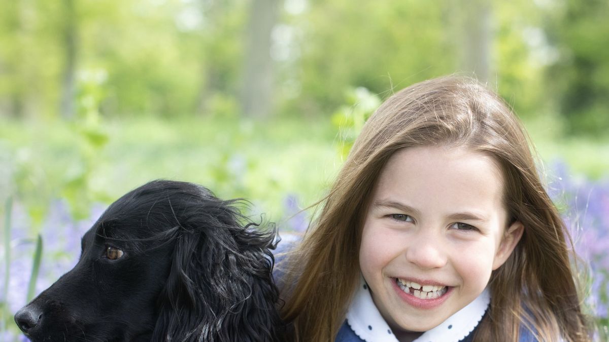 Everything to About Prince William and Kate Middleton's Dog Orla