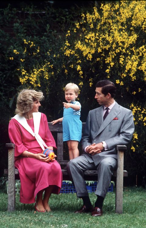Diana, Charles And William