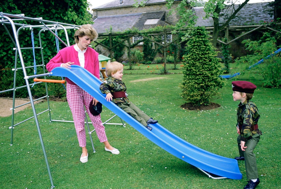 diana william harry at home