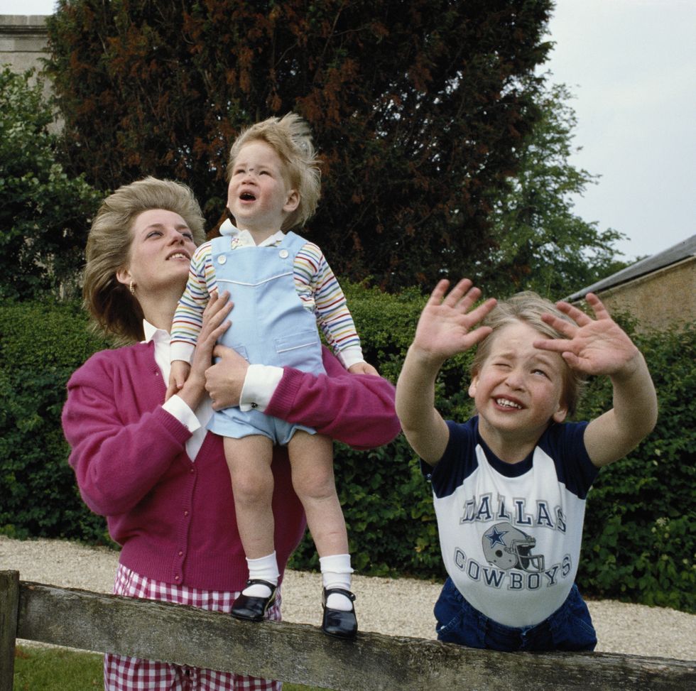 Princess Diana Plays With Prince William and Prince Harry