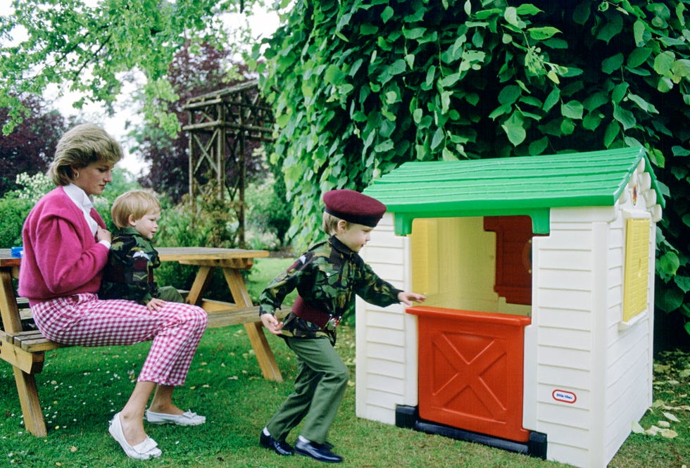 diana william harry at home