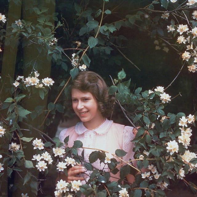 Princess Elizabeth princess elizabeth