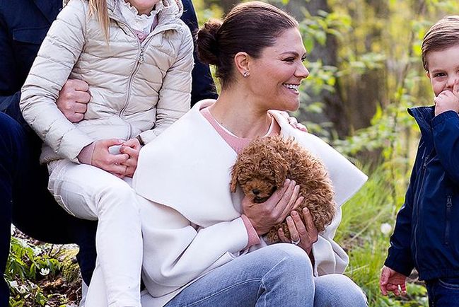 sweden princess estelle crown princess victoria dog puppy