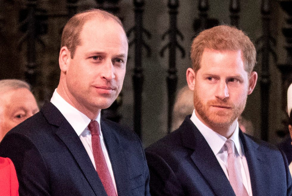 los príncipes harry y guillermo