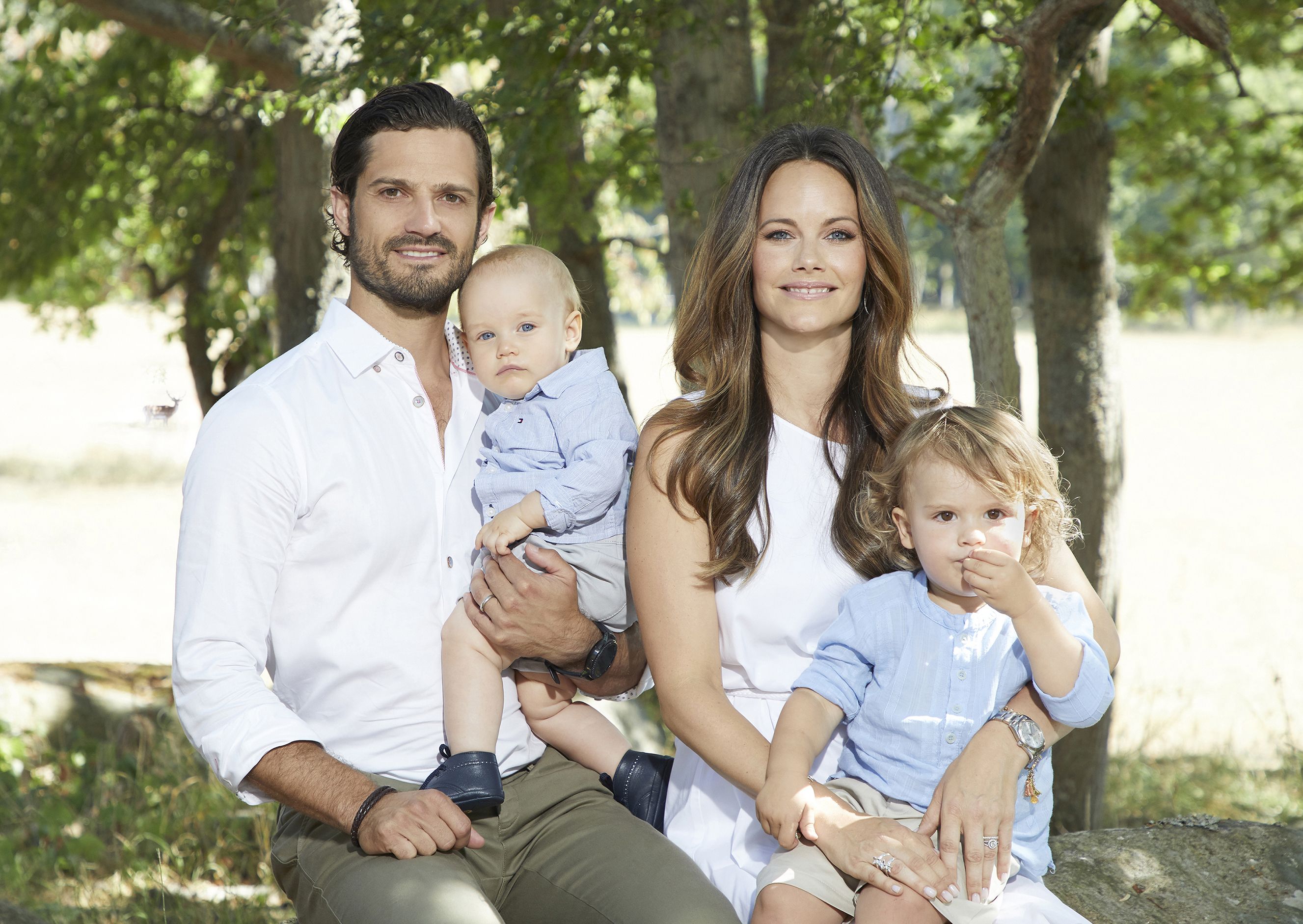 Шведская семья это простыми словами. Шведская Королевская семья.