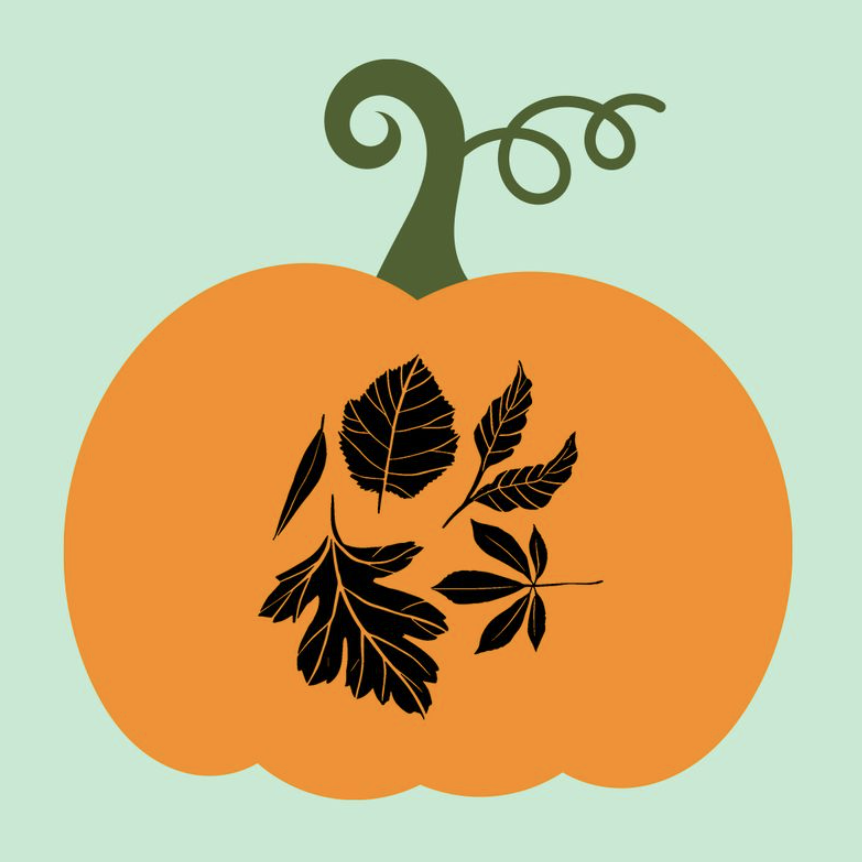 Fall Season Reusable Vinyl Stencils: Pumpkin & Thanksgiving Adhesive  Stencils Free How to Etch CD 