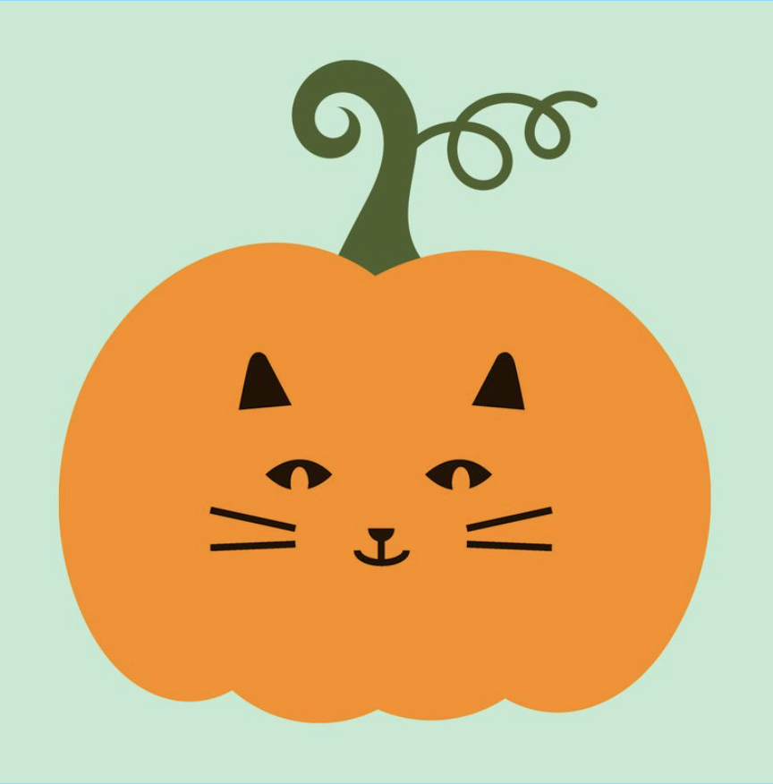 cat-pumpkin-carving-made-simple-create-cute-halloween-decor-in-minutes