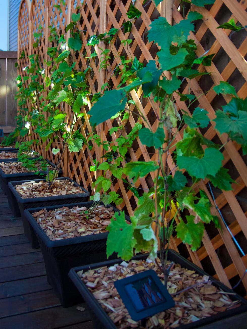small patio ideas