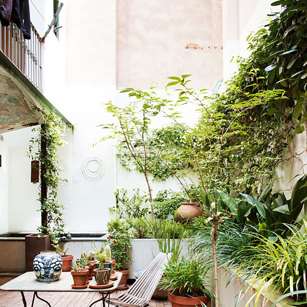 apartment in Barcelona with patio and garden