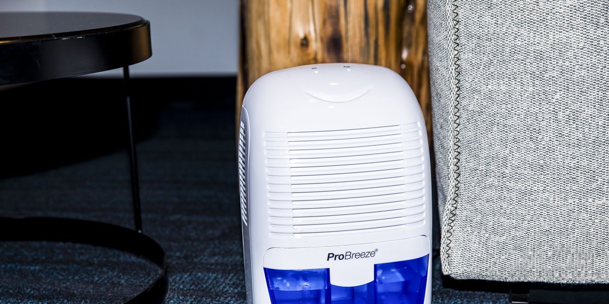 The best dehumidifiers for basements in 2024