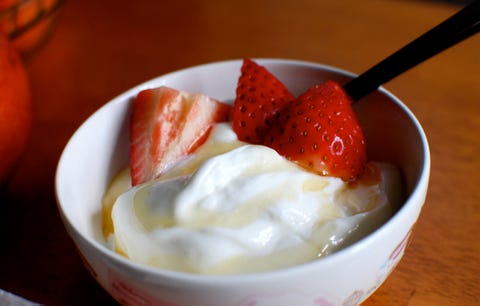 probiotics yogurt probiotics yogurt