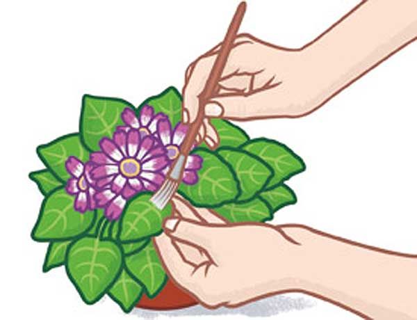 flower, plant, hand, botany, clip art, leaf, petal, bouquet, illustration, graphics,