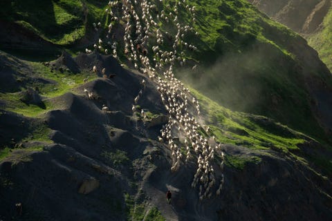 Dagestan Mountains KAUKASUS DAGESTAN RUSLANDSchapen trekken door de bergen van Dagestan