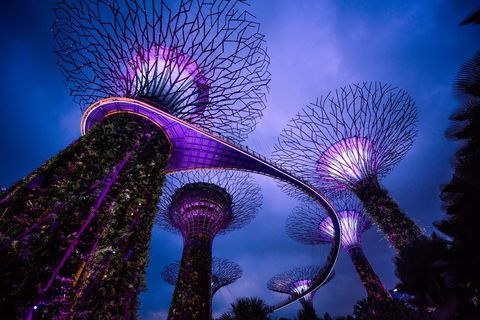 De superbomen in Gardens by the Bay in Singapore zijn een fraai staaltje menselijke techniek en architectuur Deze wonderbaarlijke bouwwerken bestaan uit meer dan 158000 planten van meer dan zevenhonderd soorten De hoogste boom is zestien verdiepingen hoog De bomen zijn zelfvoorzienend en laten het vermogen van mensen zien om meesterwerken te maken