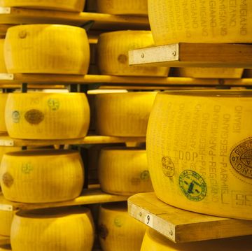production of parmigiano reggiano cheese at the caseificio sociale castellazzo