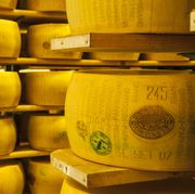 production of parmigiano reggiano cheese at the caseificio sociale castellazzo