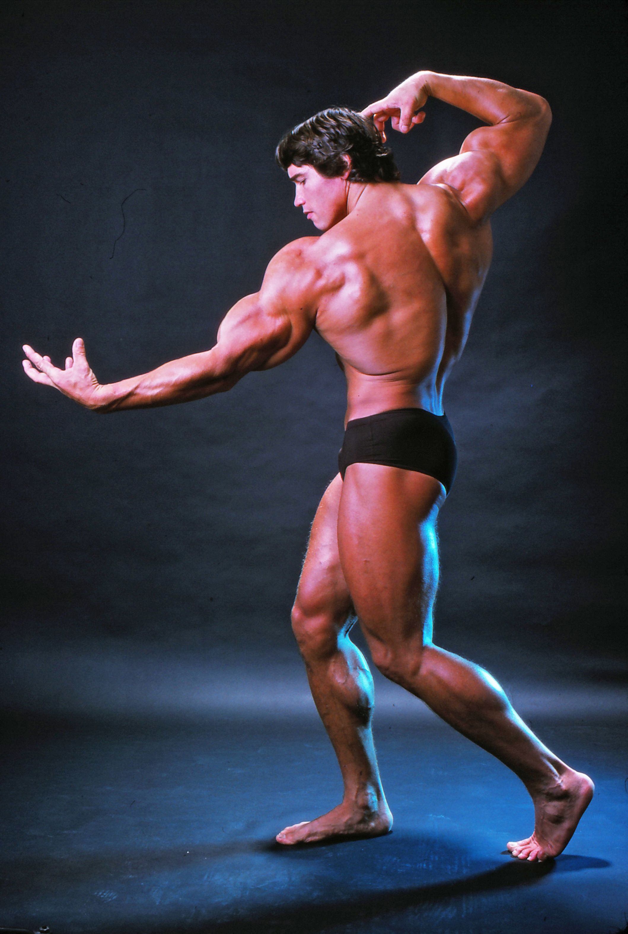 Arnold Schwarzenegger Bodybuilding Png Images - Arnold Schwarzenegger Best  Pose, Transparent Png , Transparent Png Image - PNGitem