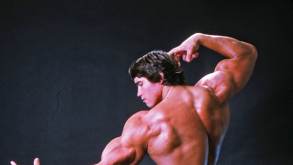 Arnold Schwarzenegger's Chest Workout Complete Guide Beginner to Advanced