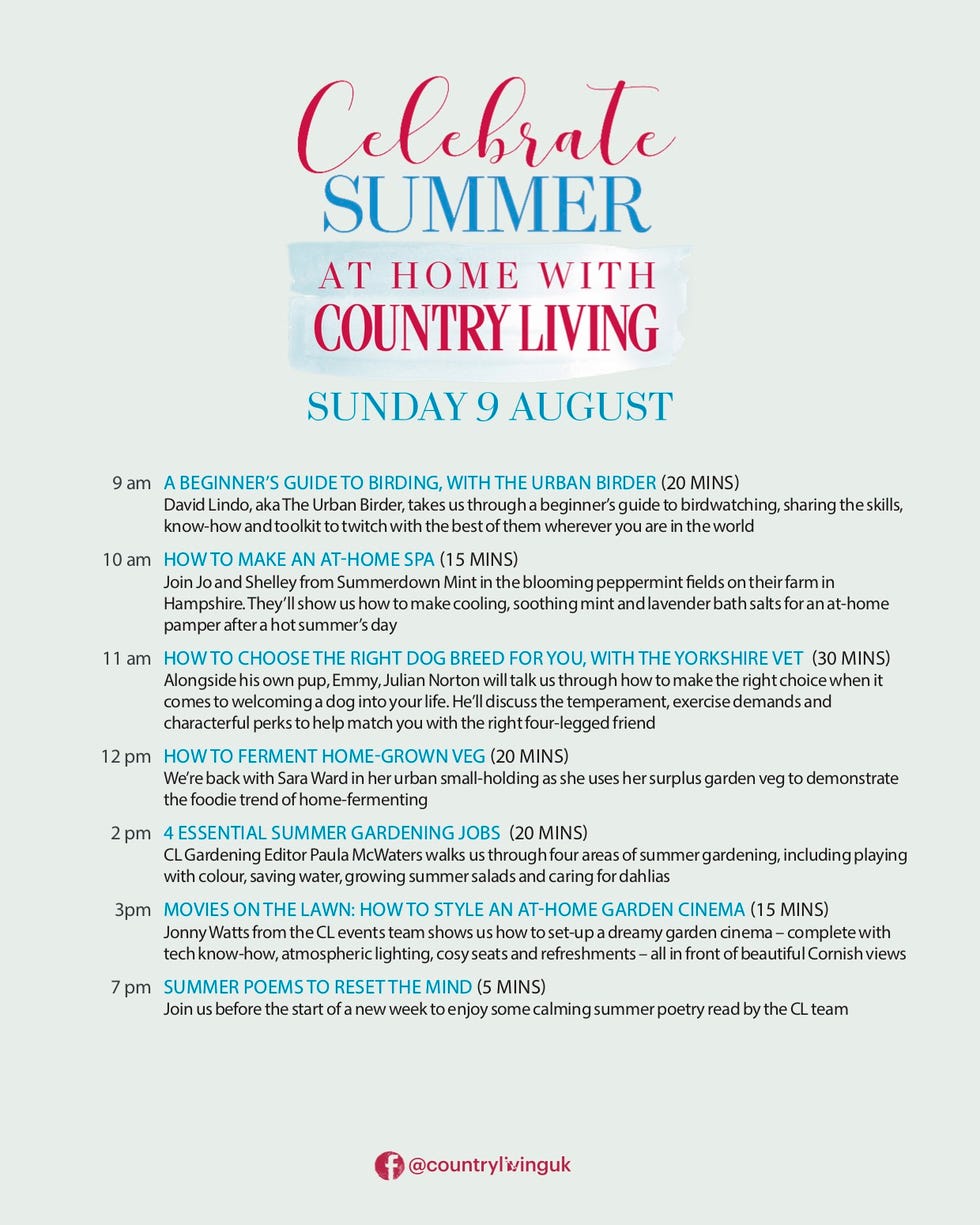celebrate summer at home virtual event round up