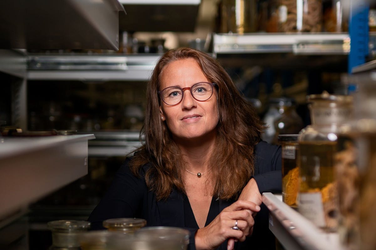 Prof dr Nicole de Voogd 1972 is senior onderzoeker bij Naturalis en bijzonder hoogleraar Global Change and Marine Ecosystems aan de Universiteit Leiden