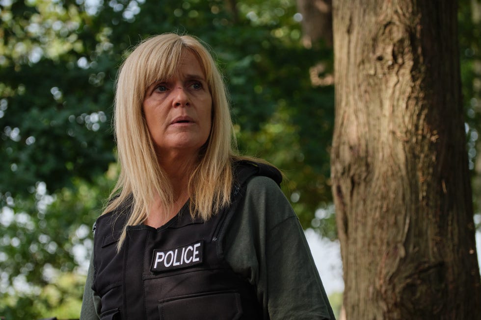 Police officer in an outdoor setting wearing a tactical vest