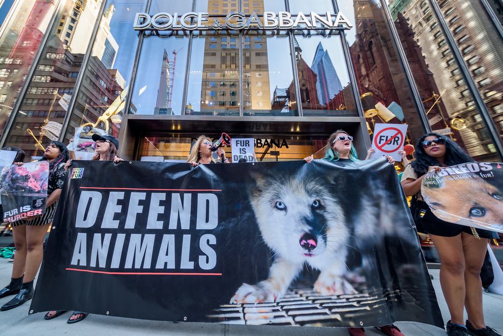 Protesters outside Dolce & Gabbana retail store - Animal...