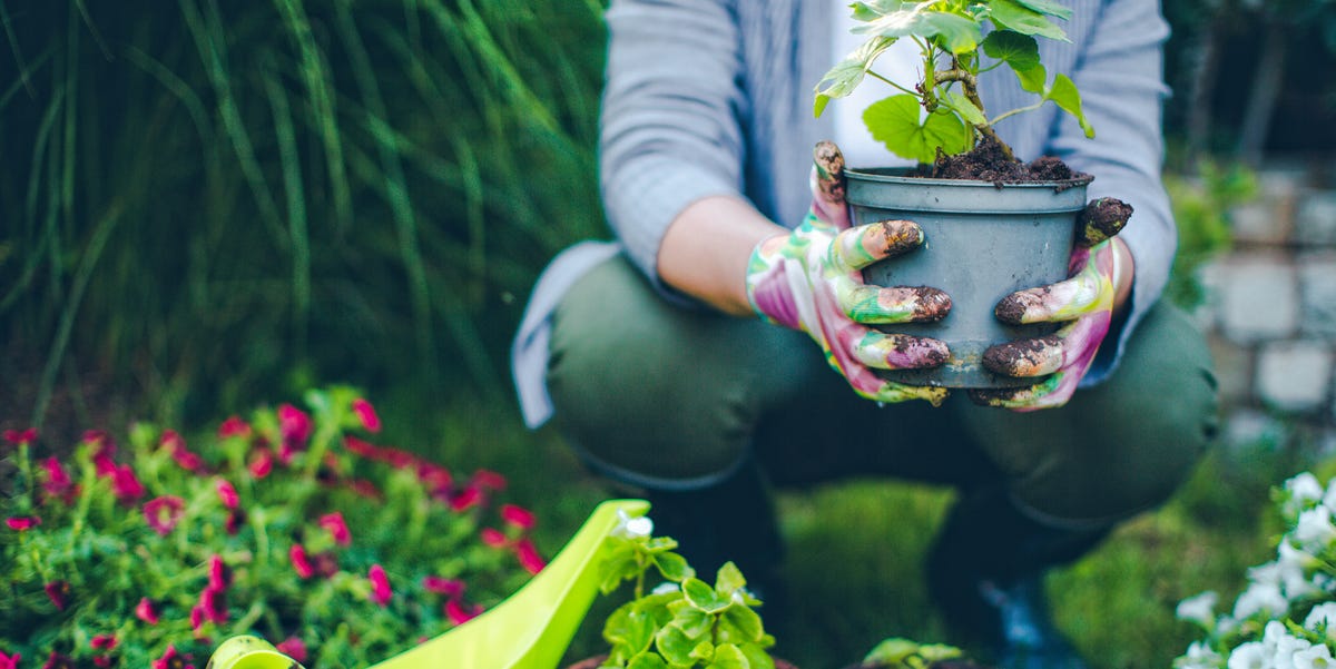 7 Health Benefits of Gardening - Get Healthy While Gardening