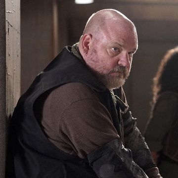 pruitt taylor vince, agents of shield