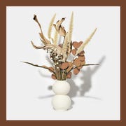 pumpkin spice decor pumpkin spice decor