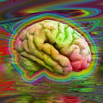 psychedelic brain