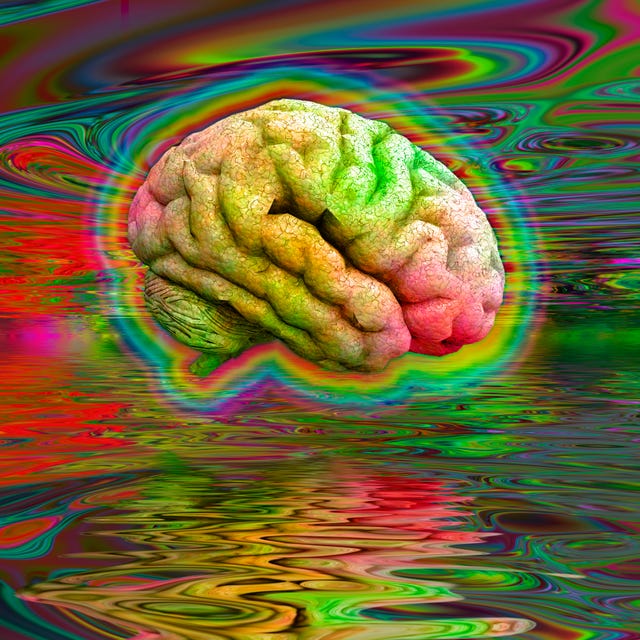 psychedelic brain