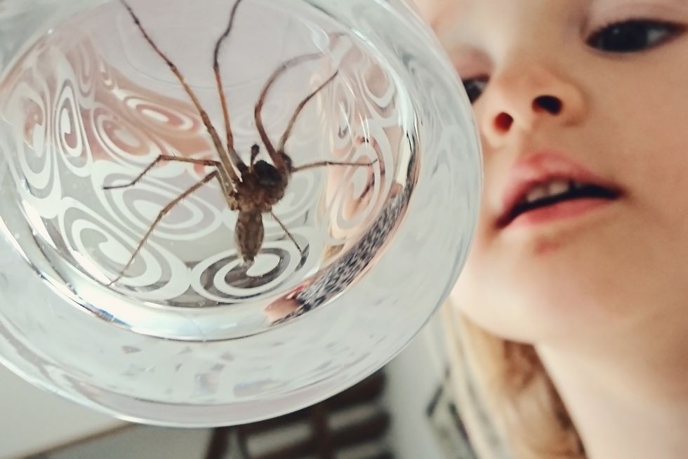 girl looking at spider under glass