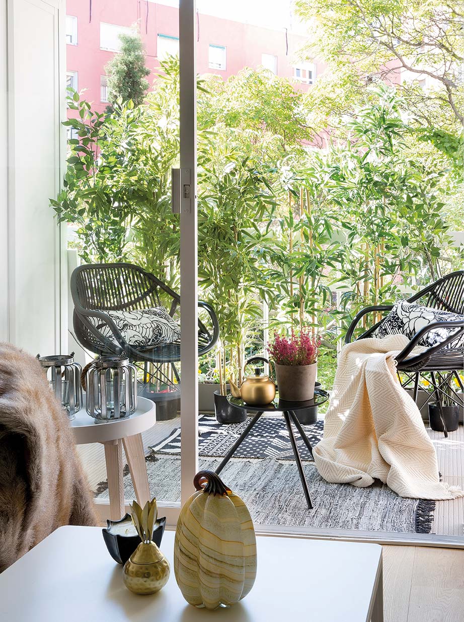 Salón con terraza