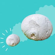 giant puffball mushrooms giant puffball mushrooms