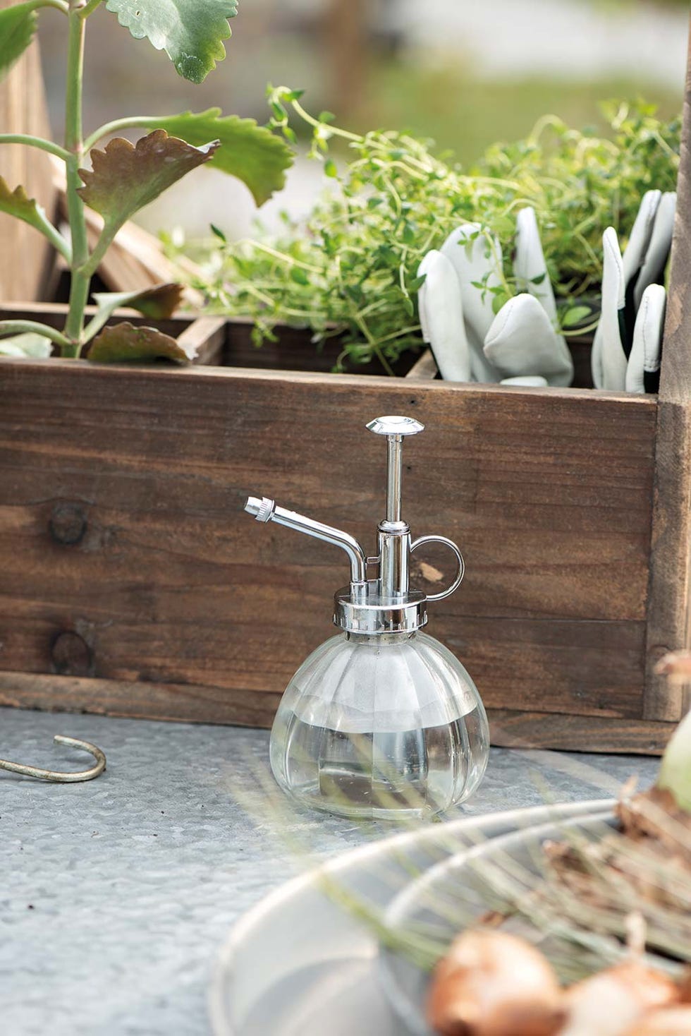 Pulverizador para plantas