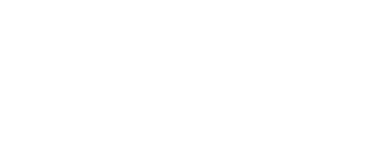 Puma Academy Logo