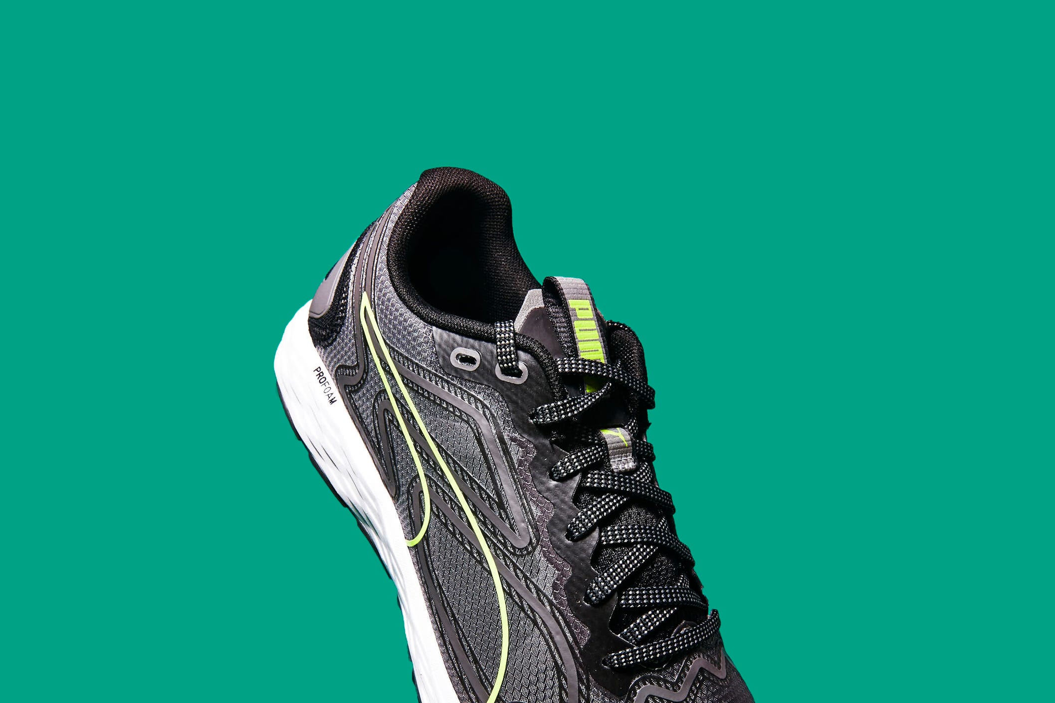puma