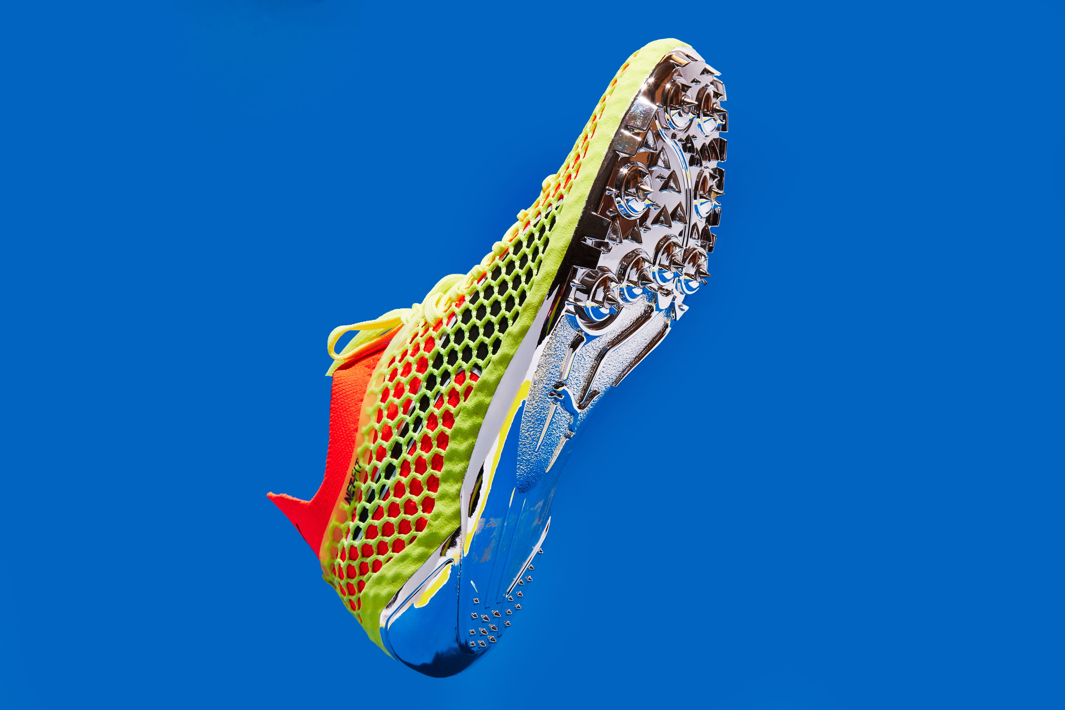 Footwear, Organism, 