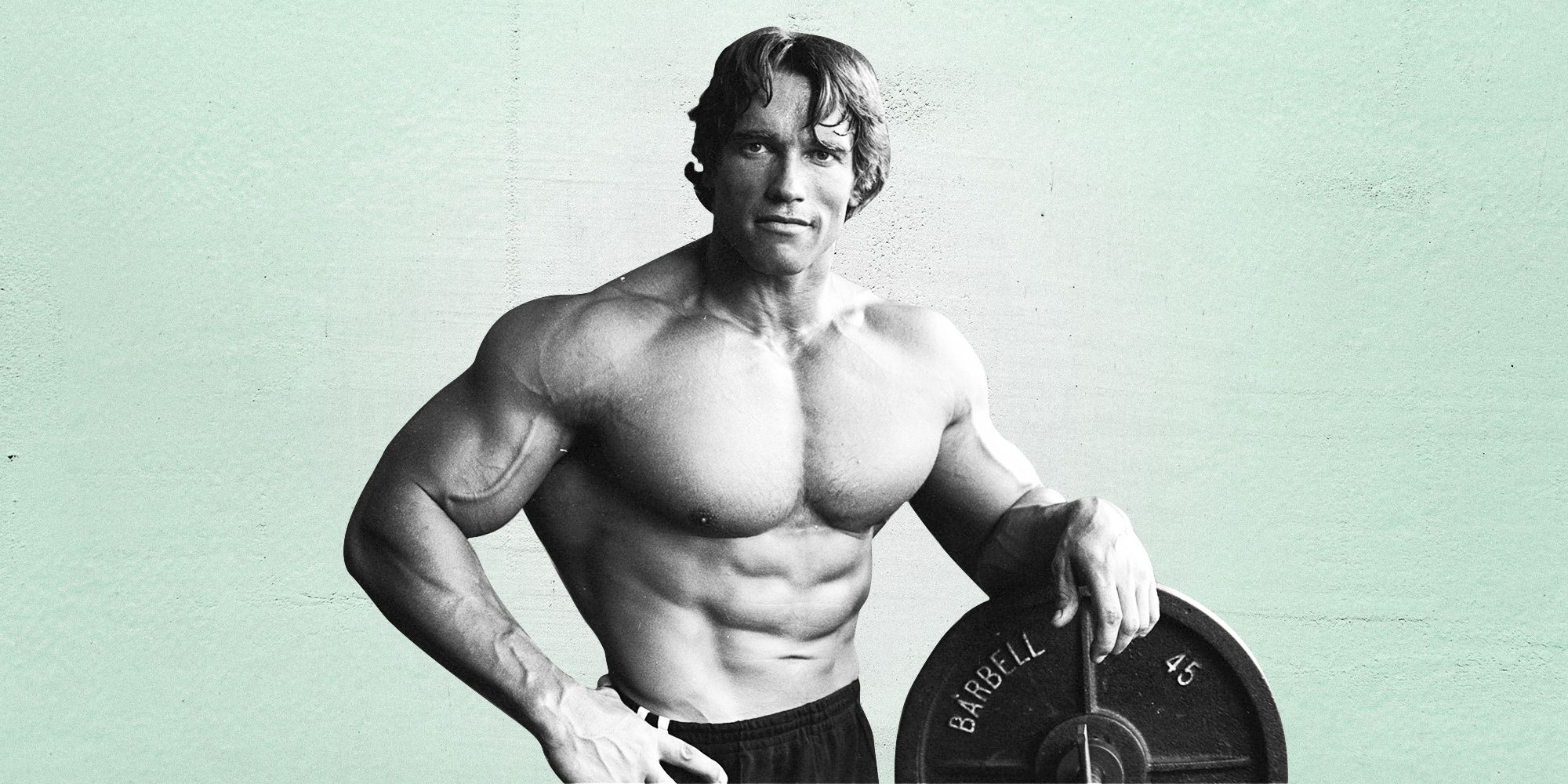 LOOK: Arnold Schwarzenegger's son recreates famous 'Mr. Olympia'  bodybuilding pose - CBSSports.com