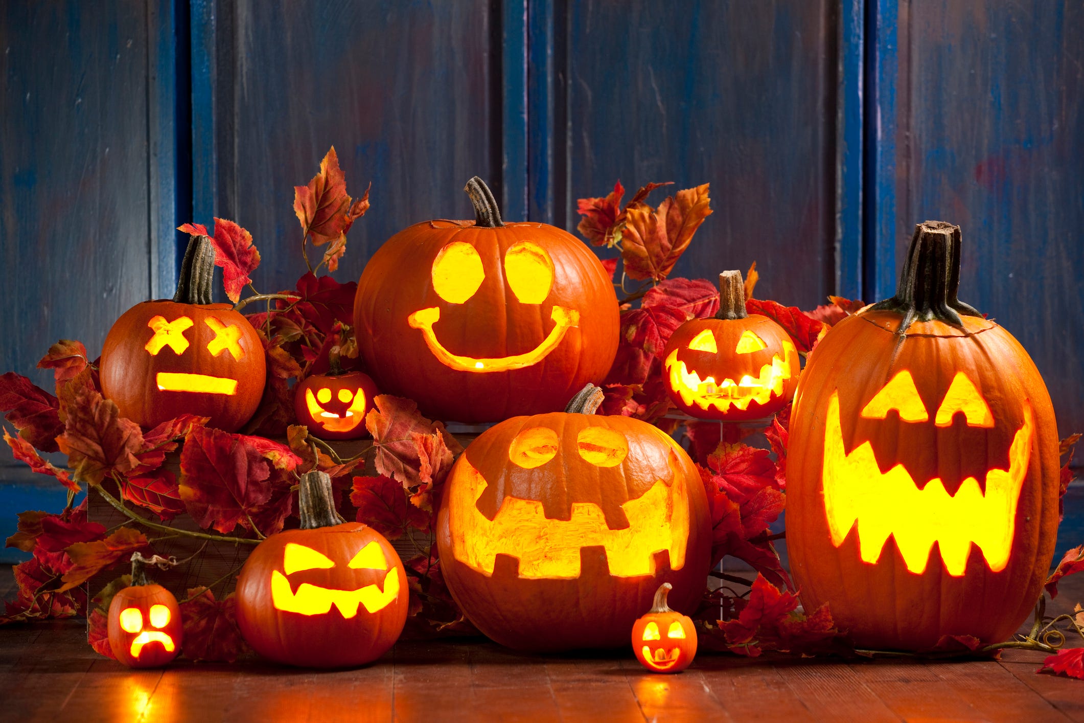 Is LOP Going To Have A PUMPKIN Carving Contest This Year 