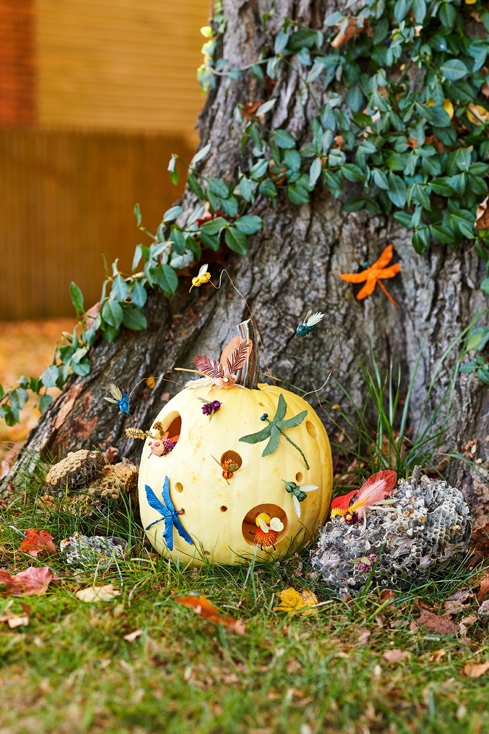 78 Easy Pumpkin Carving Ideas for Halloween 2024