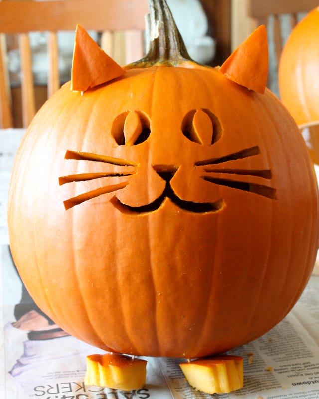 cat pumpkin