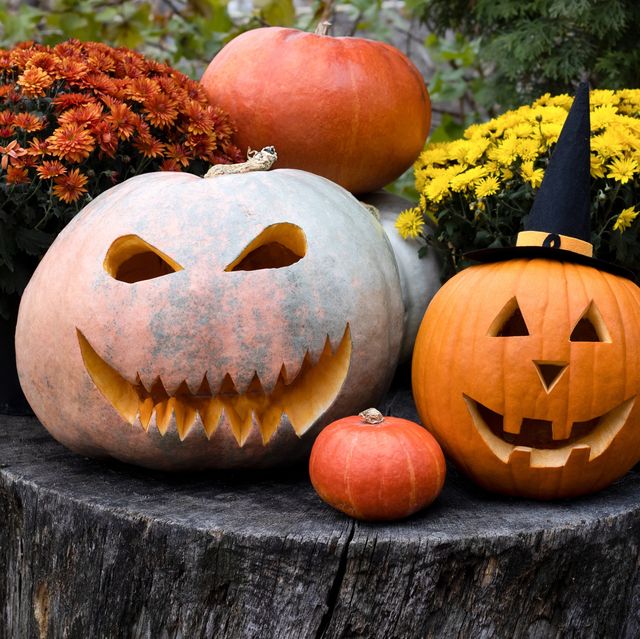 60 Best Pumpkin Carving Ideas for Halloween 2023