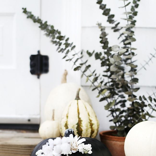 pumpkin carving ideas floral arrangment