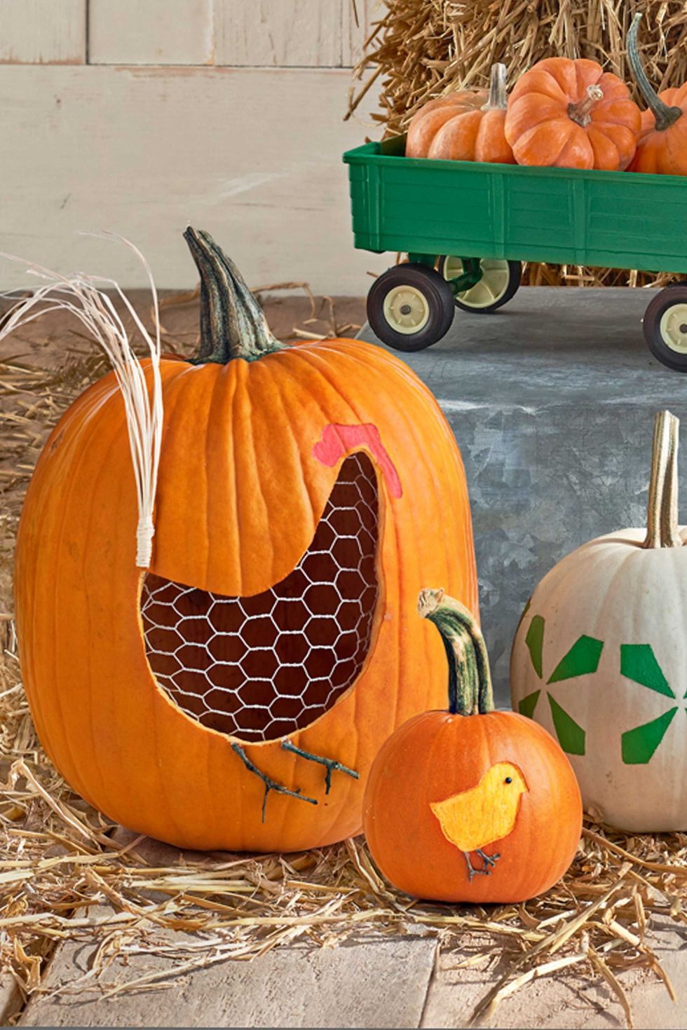 hen and chicks pumpkin carving idea