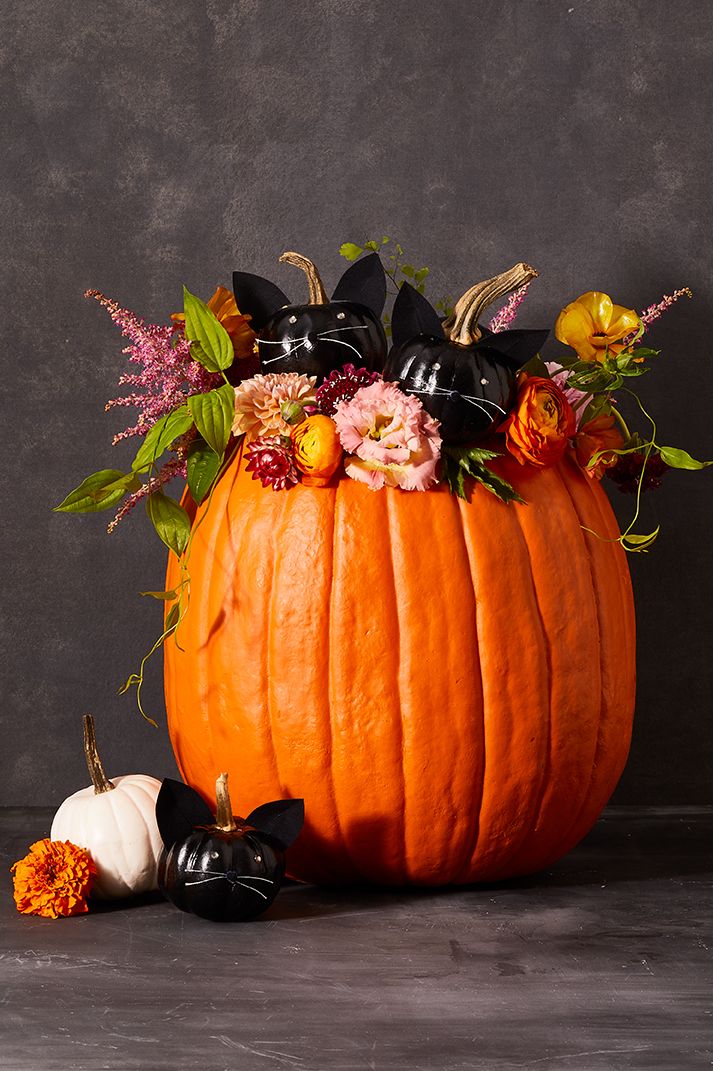 pumpkin carving ideas, small black pumpkins that look like kittens surrounding a large pumpkin with flowers inside