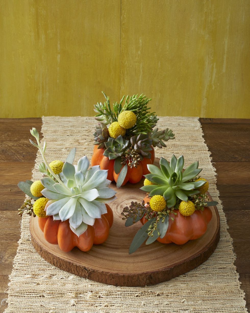 succulent pumpkin carving ideas
