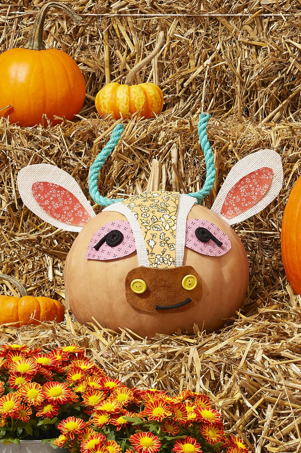 fall diy craft decorations pumpkins decorated like ranch animals