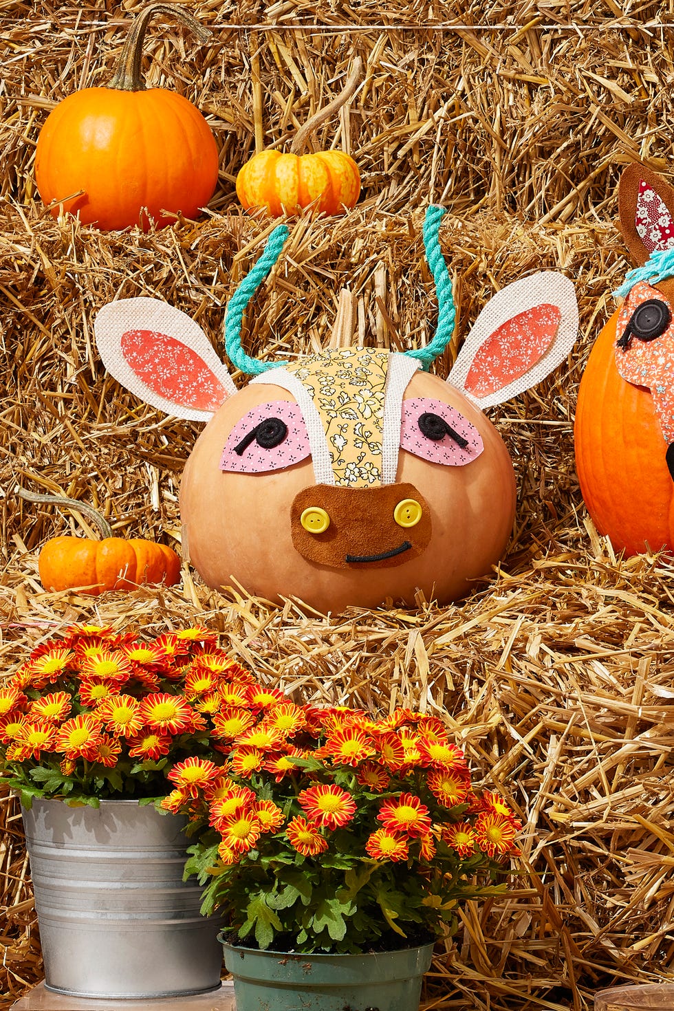 75-best-pumpkin-decorating-ideas-no-carve-pumpkin-decorations